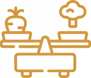 Сбалансированный состав